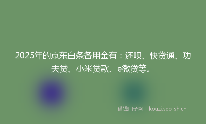 2025年的京东白条备用金有：还呗、快贷通、功夫贷、小米贷款、e微贷等。