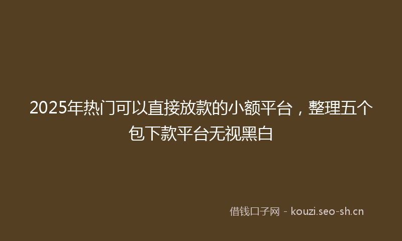 2025年热门可以直接放款的小额平台，整理五个包下款平台无视黑白