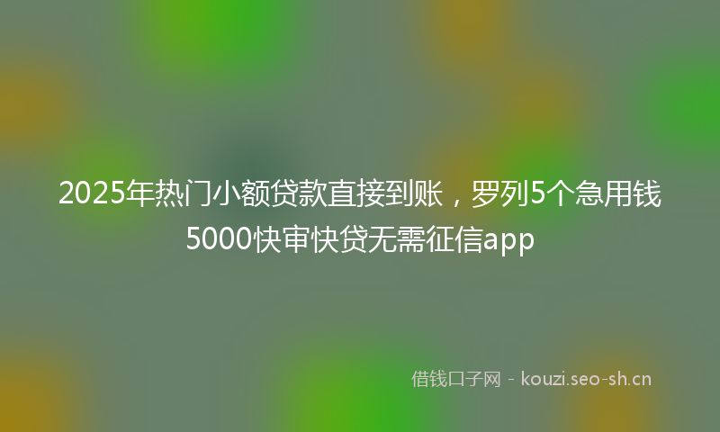 2025年热门小额贷款直接到账，罗列5个急用钱5000快审快贷无需征信app