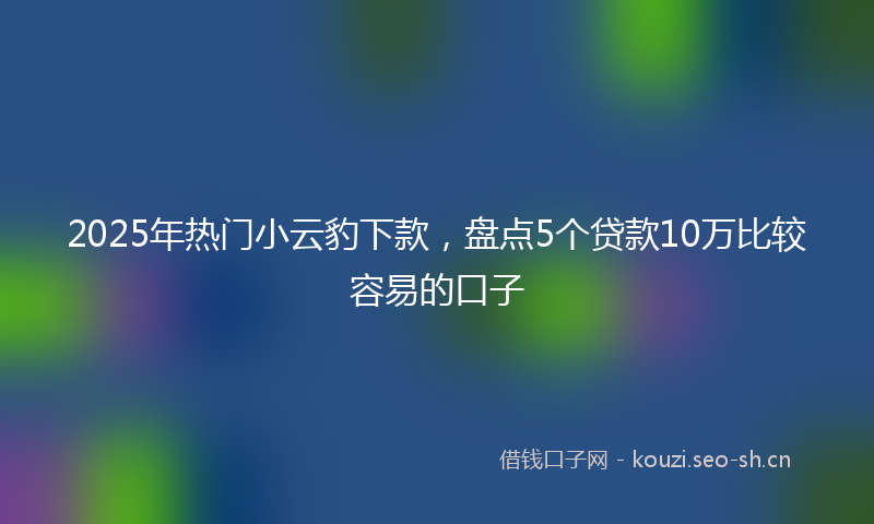 2025年热门小云豹下款，盘点5个贷款10万比较容易的口子