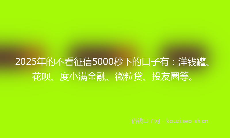 2025年的不看征信5000秒下的口子有：洋钱罐、花呗、度小满金融、微粒贷、投友圈等。