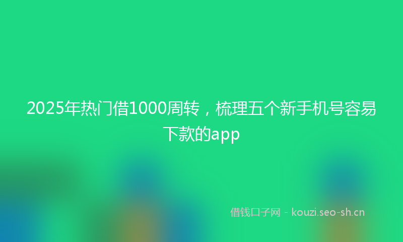 2025年热门借1000周转，梳理五个新手机号容易下款的app