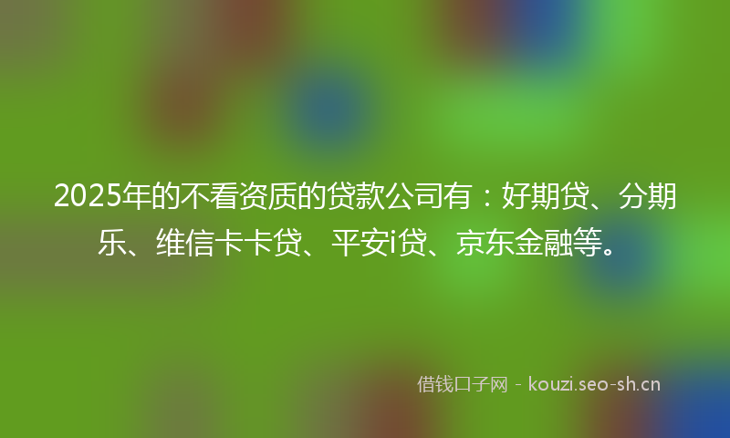 2025年的不看资质的贷款公司有：好期贷、分期乐、维信卡卡贷、平安i贷、京东金融等。