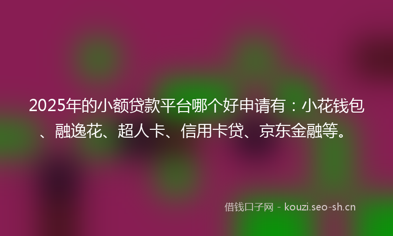 2025年的小额贷款平台哪个好申请有：小花钱包、融逸花、超人卡、信用卡贷、京东金融等。