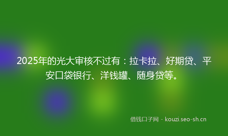 2025年的光大审核不过有：拉卡拉、好期贷、平安口袋银行、洋钱罐、随身贷等。