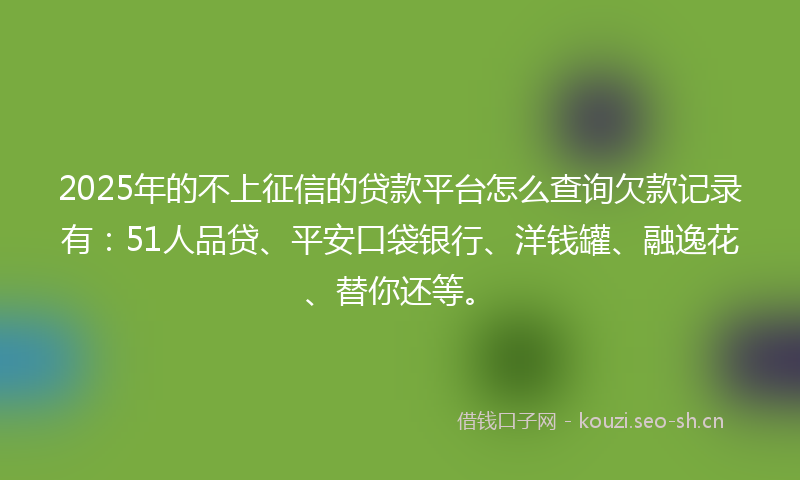 2025年的不上征信的贷款平台怎么查询欠款记录有：51人品贷、平安口袋银行、洋钱罐、融逸花、替你还等。