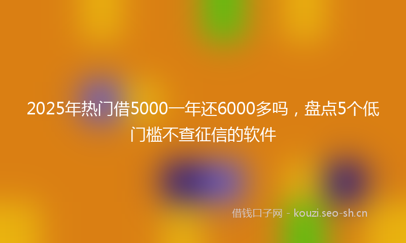 2025年热门借5000一年还6000多吗，盘点5个低门槛不查征信的软件