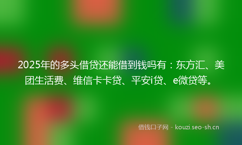 2025年的多头借贷还能借到钱吗有：东方汇、美团生活费、维信卡卡贷、平安i贷、e微贷等。
