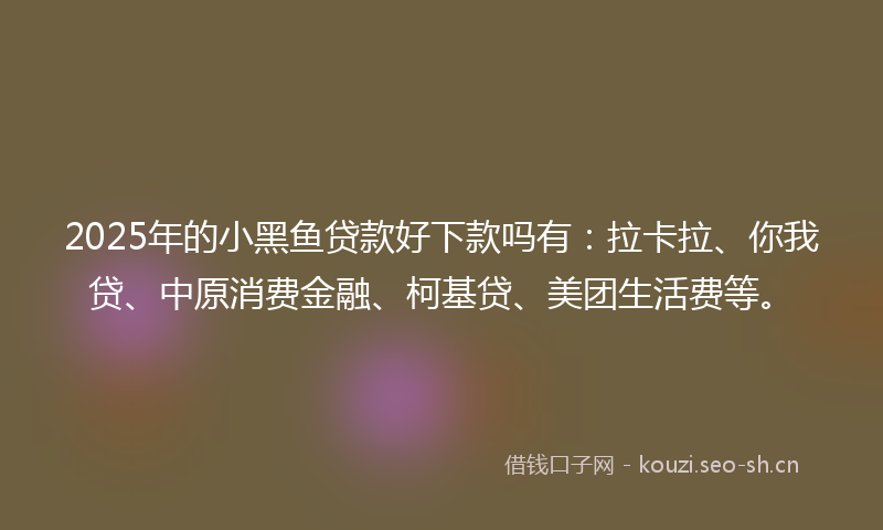 2025年的小黑鱼贷款好下款吗有：拉卡拉、你我贷、中原消费金融、柯基贷、美团生活费等。