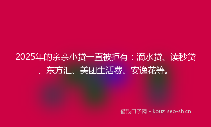 2025年的亲亲小贷一直被拒有：滴水贷、读秒贷、东方汇、美团生活费、安逸花等。