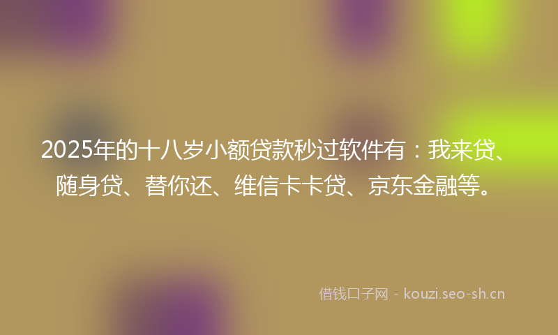 2025年的十八岁小额贷款秒过软件有：我来贷、随身贷、替你还、维信卡卡贷、京东金融等。