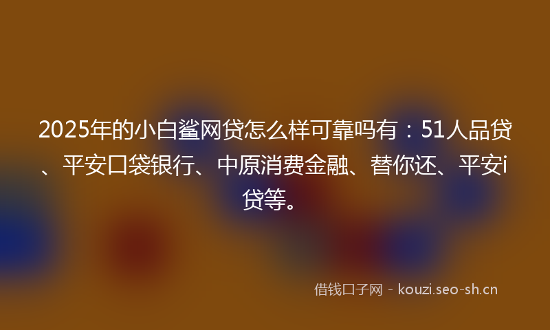 2025年的小白鲨网贷怎么样可靠吗有：51人品贷、平安口袋银行、中原消费金融、替你还、平安i贷等。