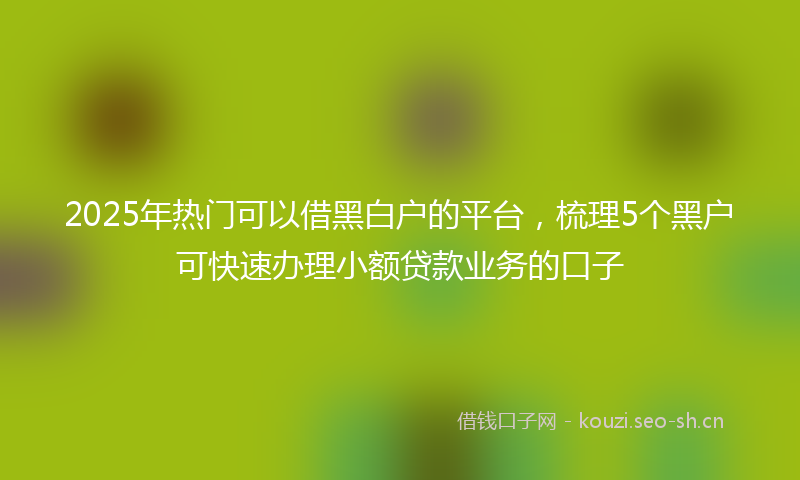 2025年热门可以借黑白户的平台，梳理5个黑户可快速办理小额贷款业务的口子