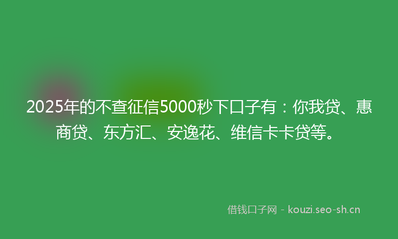 2025年的不查征信5000秒下口子有：你我贷、惠商贷、东方汇、安逸花、维信卡卡贷等。