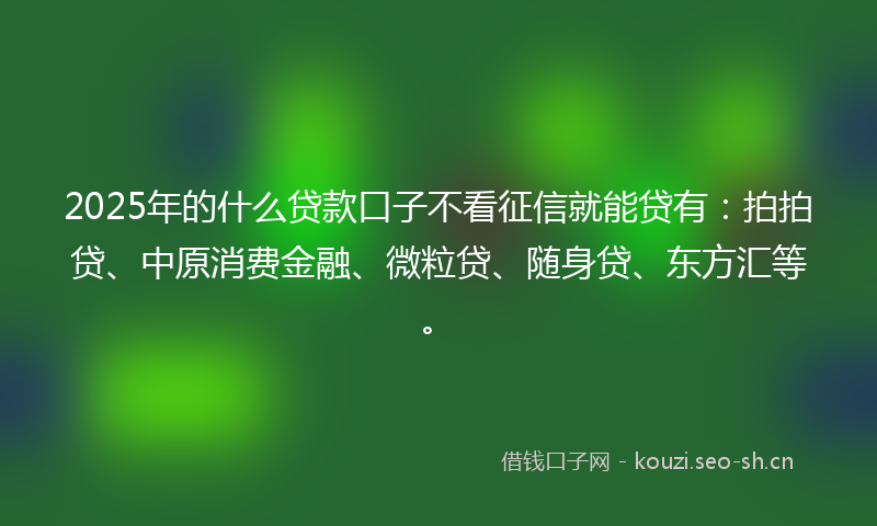 2025年的什么贷款口子不看征信就能贷有：拍拍贷、中原消费金融、微粒贷、随身贷、东方汇等。