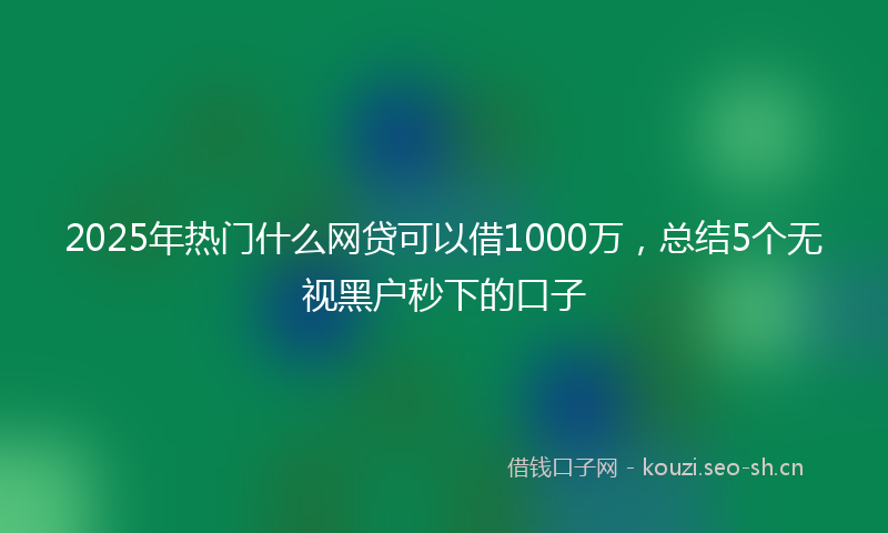 2025年热门什么网贷可以借1000万，总结5个无视黑户秒下的口子