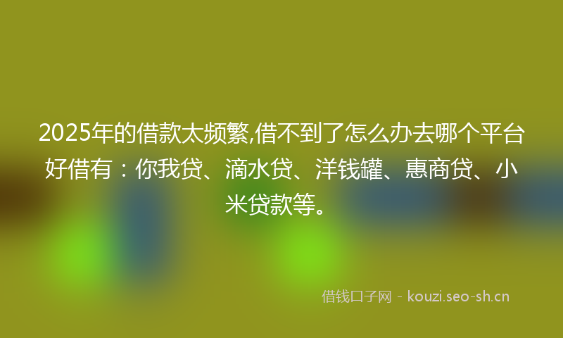 2025年的借款太频繁,借不到了怎么办去哪个平台好借有：你我贷、滴水贷、洋钱罐、惠商贷、小米贷款等。
