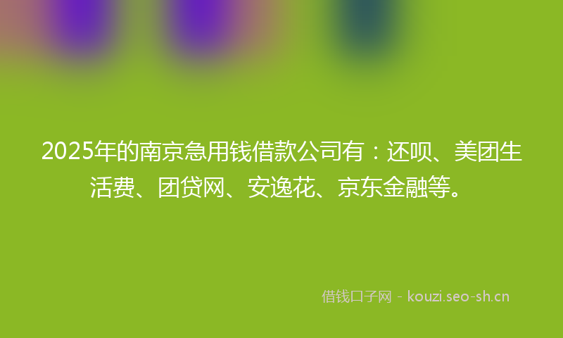 2025年的南京急用钱借款公司有：还呗、美团生活费、团贷网、安逸花、京东金融等。