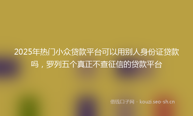 2025年热门小众贷款平台可以用别人身份证贷款吗，罗列五个真正不查征信的贷款平台