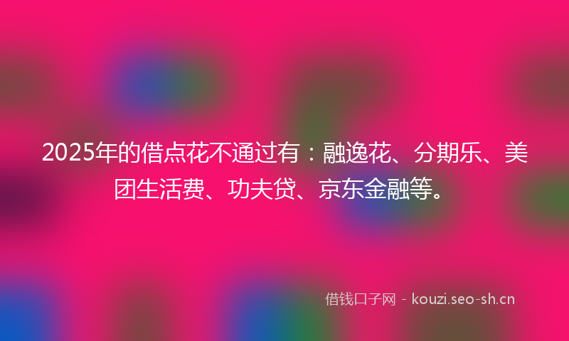 2025年的借点花不通过有：融逸花、分期乐、美团生活费、功夫贷、京东金融等。
