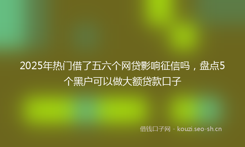 2025年热门借了五六个网贷影响征信吗，盘点5个黑户可以做大额贷款口子