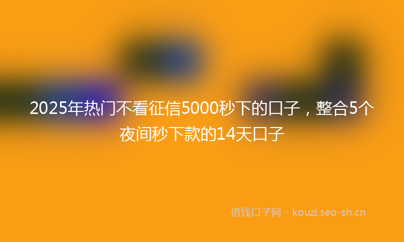 2025年热门不看征信5000秒下的口子，整合5个夜间秒下款的14天口子