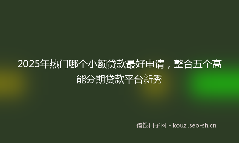2025年热门哪个小额贷款最好申请，整合五个高能分期贷款平台新秀