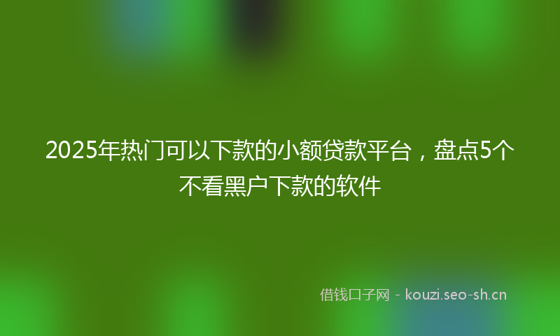 2025年热门可以下款的小额贷款平台，盘点5个不看黑户下款的软件