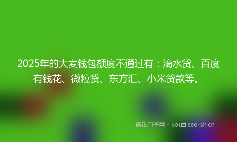 2025年的大麦钱包额度不通过有：滴水贷、百度有钱花、微粒贷、东方汇、小米贷款等。