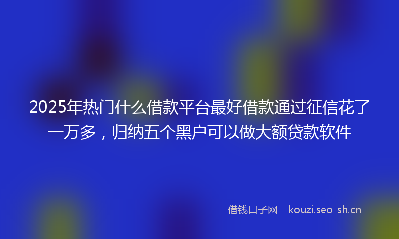 2025年热门什么借款平台最好借款通过征信花了一万多，归纳五个黑户可以做大额贷款软件