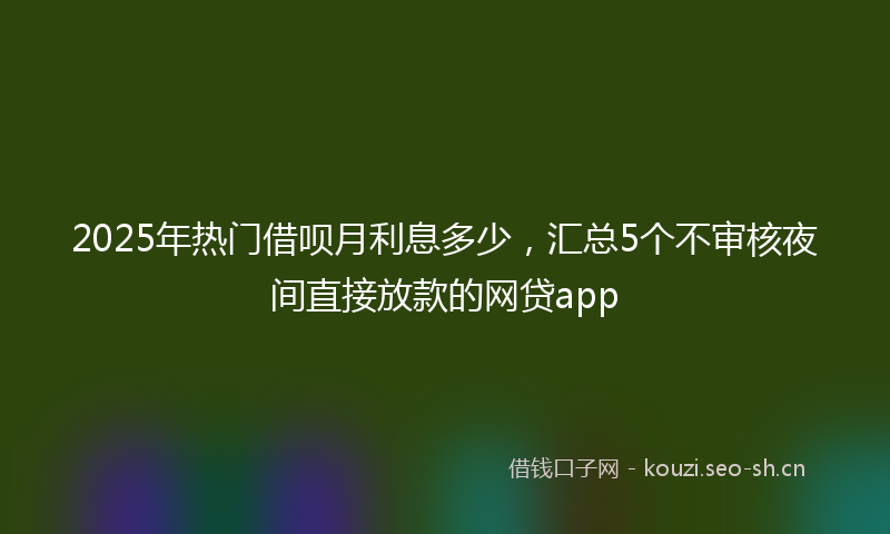 2025年热门借呗月利息多少，汇总5个不审核夜间直接放款的网贷app