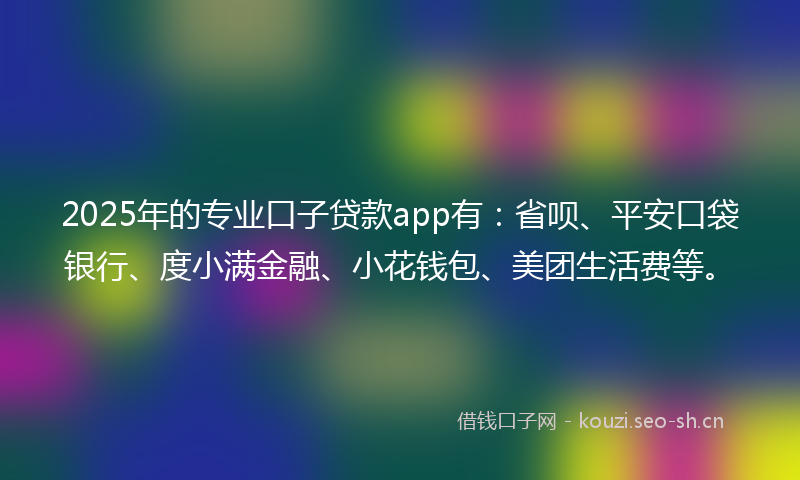 2025年的专业口子贷款app有：省呗、平安口袋银行、度小满金融、小花钱包、美团生活费等。