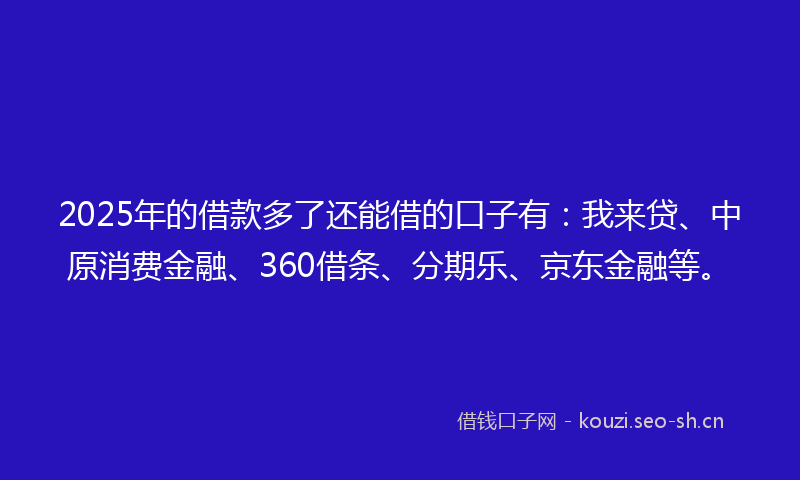 2025年的借款多了还能借的口子有：我来贷、中原消费金融、360借条、分期乐、京东金融等。