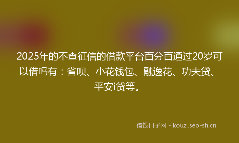 2025年的不查征信的借款平台百分百通过20岁可以借吗有：省呗、小花钱包、融逸花、功夫贷、平安i贷等。