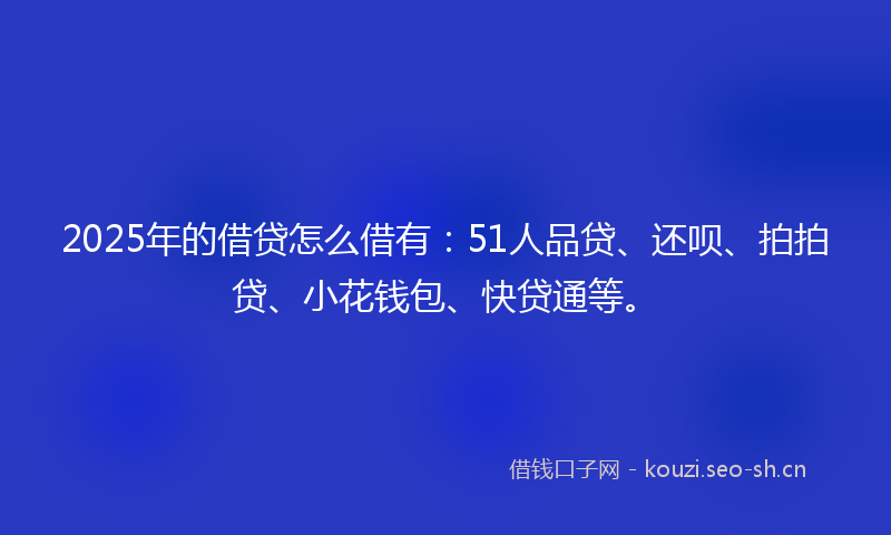 2025年的借贷怎么借有：51人品贷、还呗、拍拍贷、小花钱包、快贷通等。