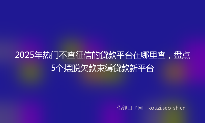 2025年热门不查征信的贷款平台在哪里查，盘点5个摆脱欠款束缚贷款新平台