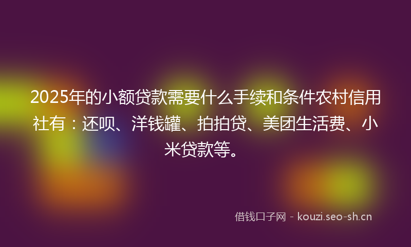 2025年的小额贷款需要什么手续和条件农村信用社有：还呗、洋钱罐、拍拍贷、美团生活费、小米贷款等。