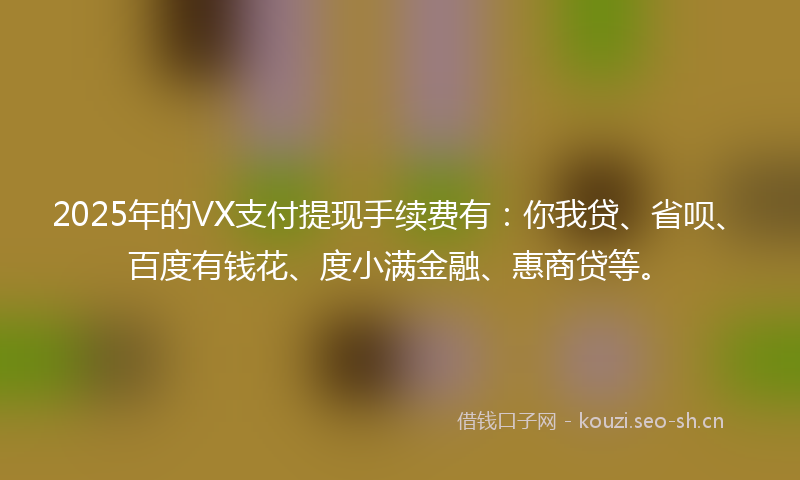 2025年的VX支付提现手续费有：你我贷、省呗、百度有钱花、度小满金融、惠商贷等。