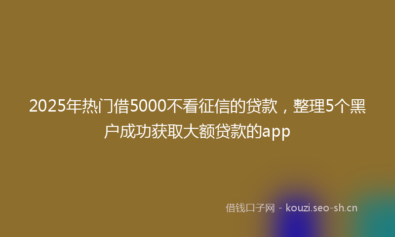 2025年热门借5000不看征信的贷款，整理5个黑户成功获取大额贷款的app