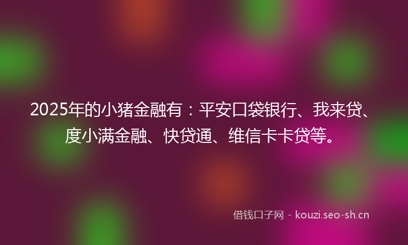 2025年的小猪金融有：平安口袋银行、我来贷、度小满金融、快贷通、维信卡卡贷等。