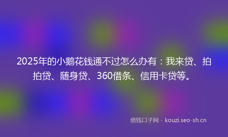 2025年的小鹅花钱通不过怎么办有：我来贷、拍拍贷、随身贷、360借条、信用卡贷等。