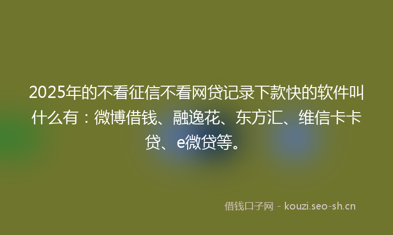 2025年的不看征信不看网贷记录下款快的软件叫什么有：微博借钱、融逸花、东方汇、维信卡卡贷、e微贷等。