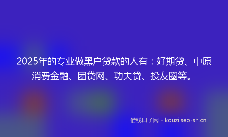 2025年的专业做黑户贷款的人有：好期贷、中原消费金融、团贷网、功夫贷、投友圈等。