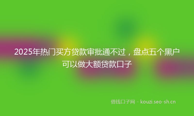 2025年热门买方贷款审批通不过，盘点五个黑户可以做大额贷款口子