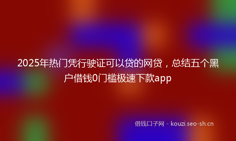 2025年热门凭行驶证可以贷的网贷，总结五个黑户借钱0门槛极速下款app