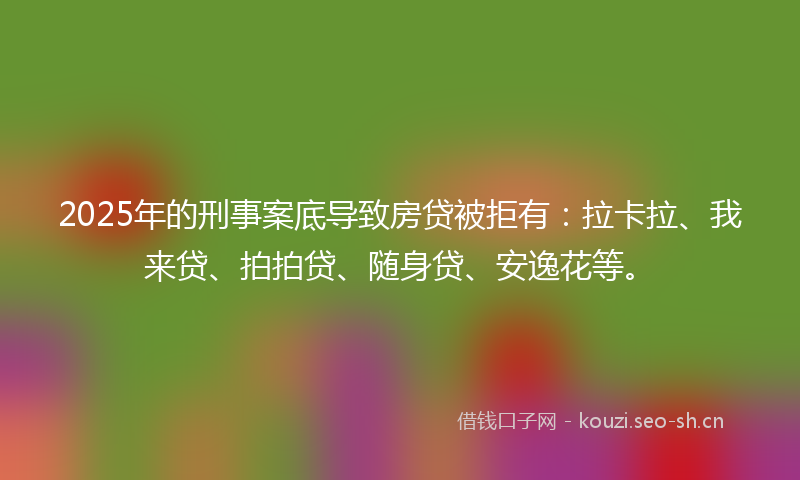 2025年的刑事案底导致房贷被拒有：拉卡拉、我来贷、拍拍贷、随身贷、安逸花等。