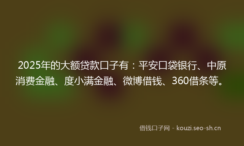 2025年的大额贷款口子有：平安口袋银行、中原消费金融、度小满金融、微博借钱、360借条等。