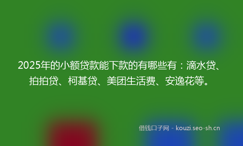 2025年的小额贷款能下款的有哪些有：滴水贷、拍拍贷、柯基贷、美团生活费、安逸花等。