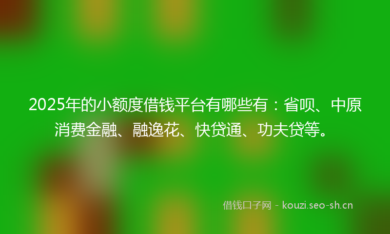 2025年的小额度借钱平台有哪些有：省呗、中原消费金融、融逸花、快贷通、功夫贷等。
