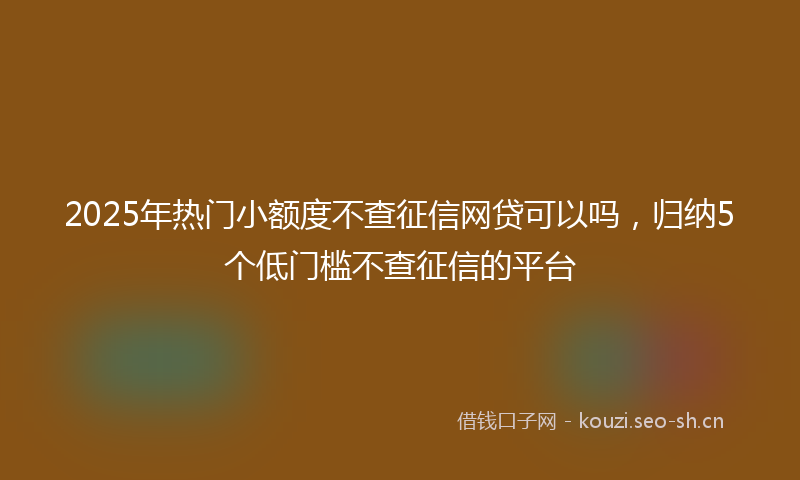 2025年热门小额度不查征信网贷可以吗，归纳5个低门槛不查征信的平台
